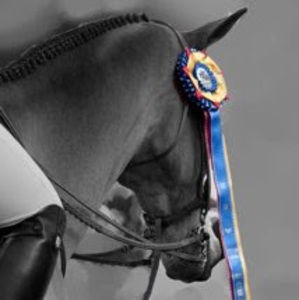 Meet your Posher, Marybeth